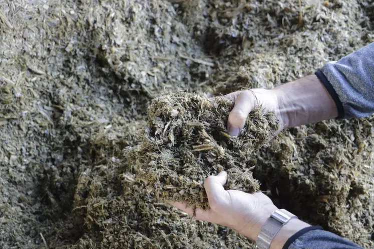 Atelier d'engraissement de jeunes bovins au Gaec des Landelles en Loire-Atlantique
