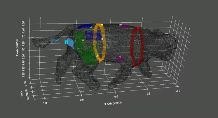Le projet PHENO3D vise à mettre au point un dispositif de traitement automatisé (intelligence artificielle) et en temps réel d’images 3D pour extraire des phénotypes utilisés dans la filière bovin viande (le poids et les notes de pointages).