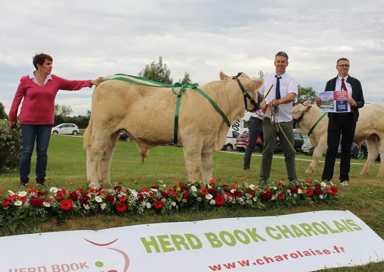 concours veau charolais