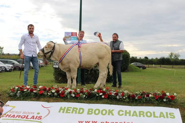 concours veau charolais