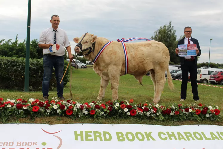 concours veaux charolais 