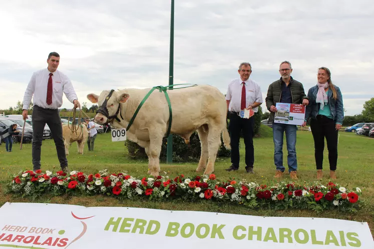 concours veau charolais