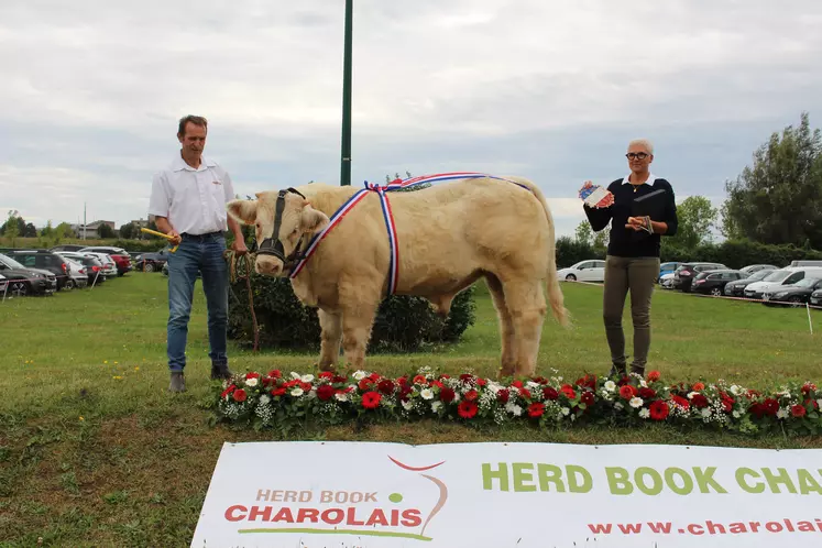 concours veau charolais