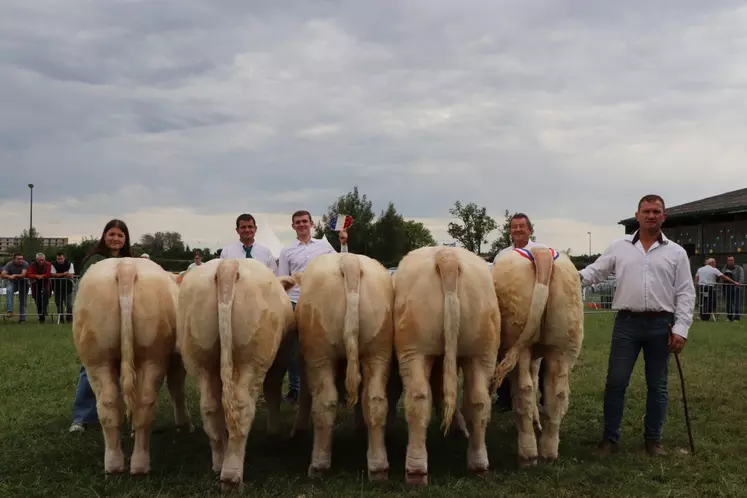 concours charolais