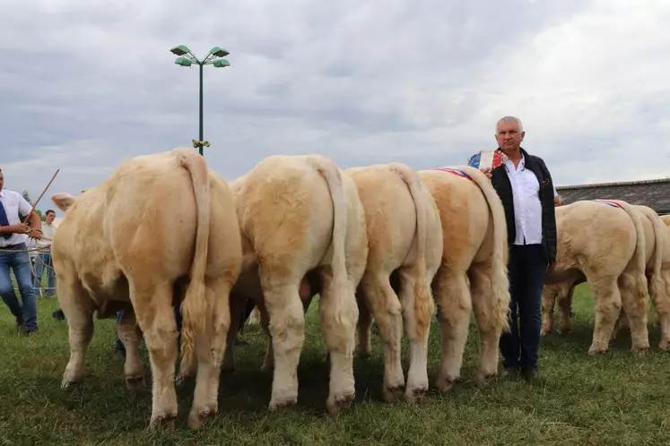 concours charolais