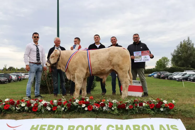 concours charolais