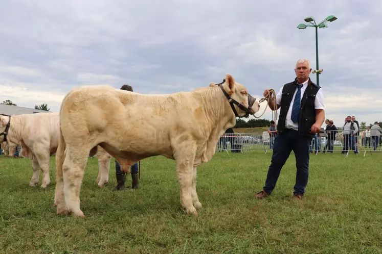 concours charolais