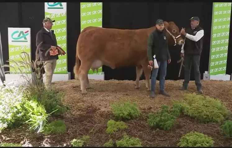 concours national limousin