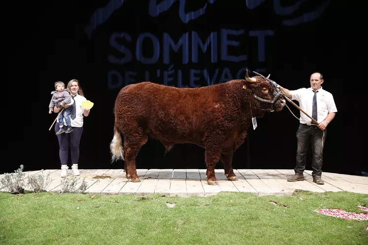 sommet de l'élevage concours bovins viande salers