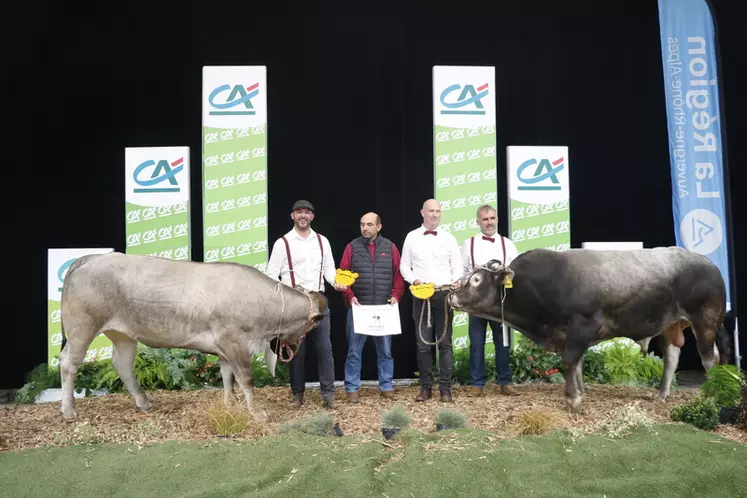 concours race bazadaise sommet de l'élevage 2024
