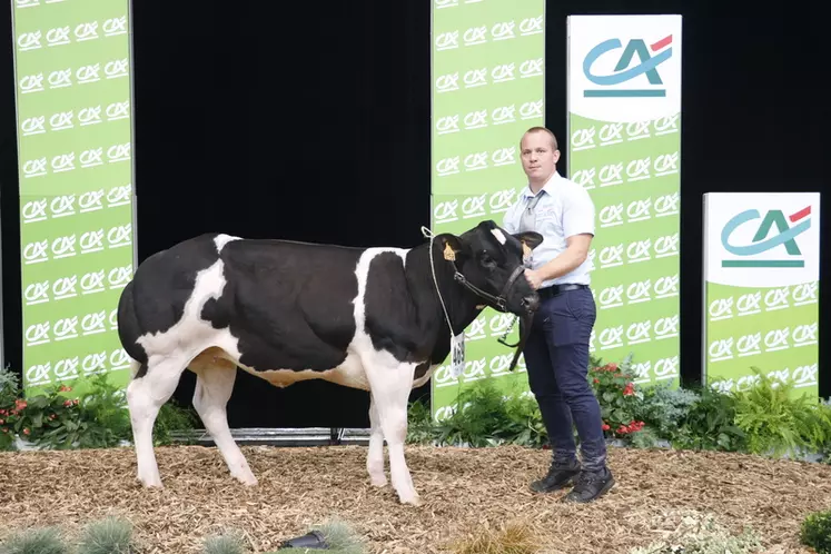 concours blanc bleu sommet de l'élevage 2024