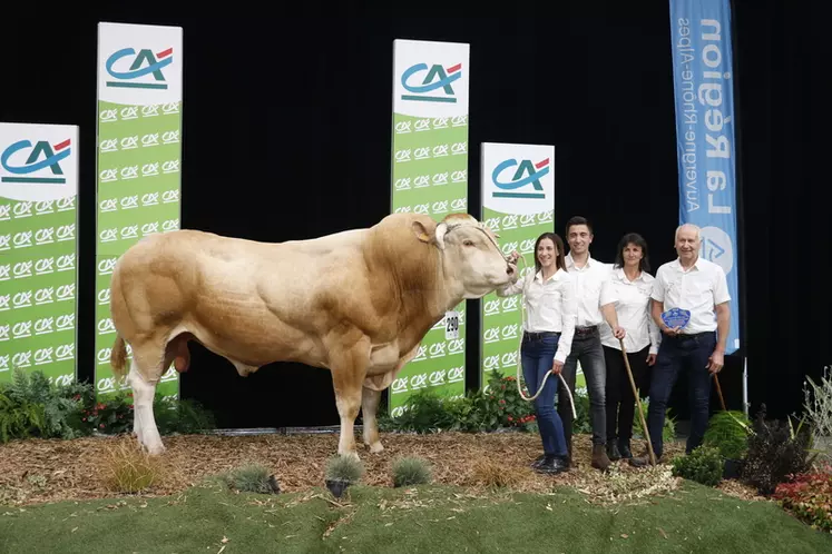 Concours blonde d'Aquitaine Sommet de l'élevage 2024