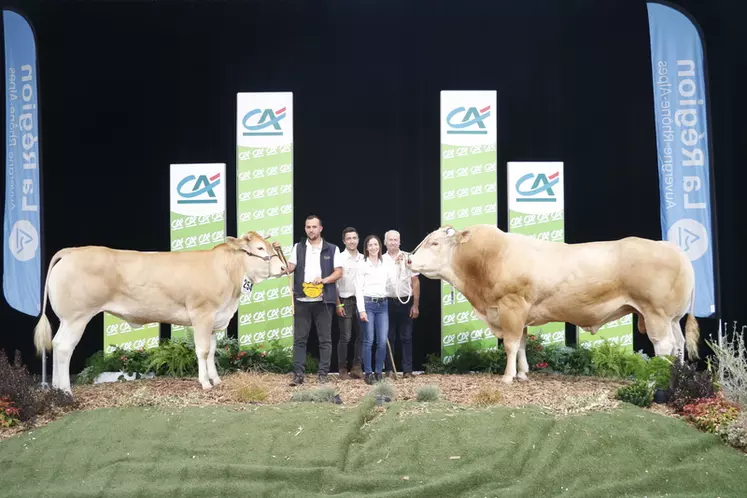 Concours blonde d'Aquitaine Sommet de l'élevage 2024