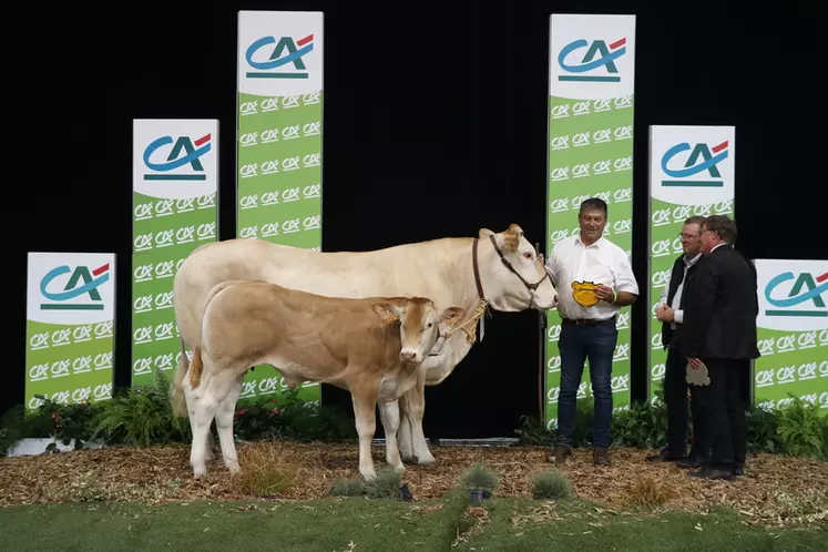 Concours blonde d'Aquitaine Sommet de l'élevage 2024