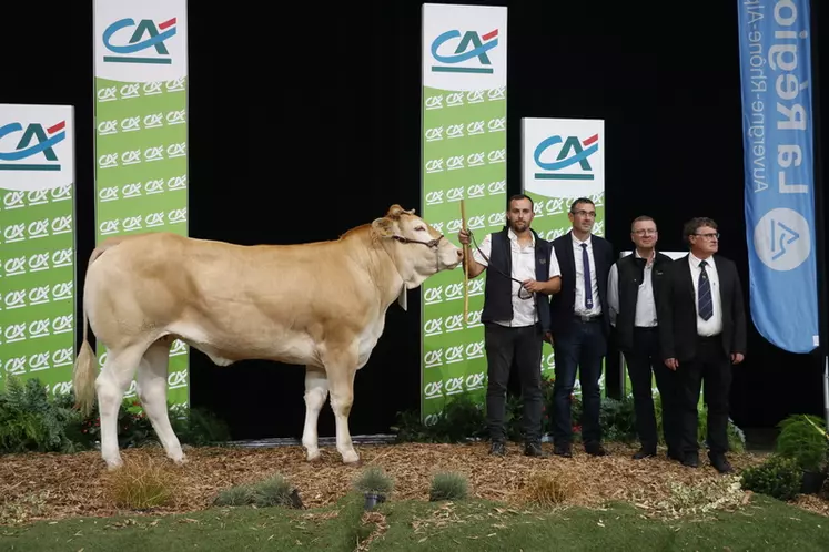 Concours blonde d'Aquitaine Sommet de l'élevage 2024