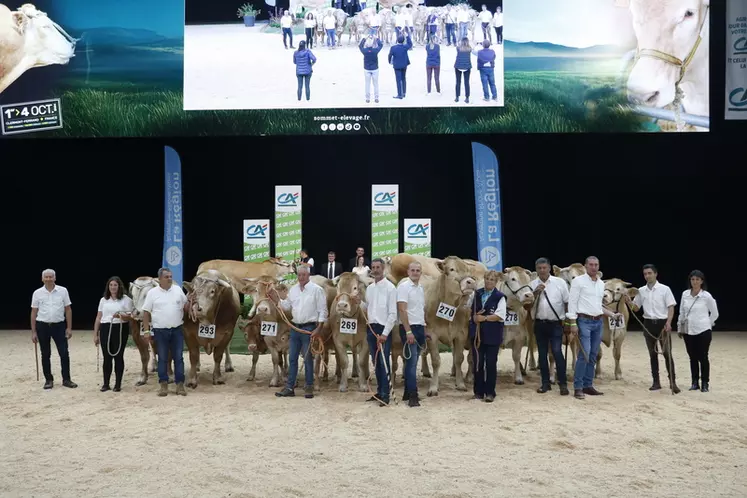 Concours blonde d'Aquitaine Sommet de l'élevage 2024