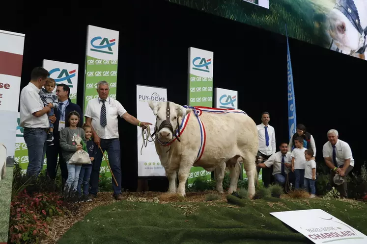 concours charolais Sommet de l'élevage 2024