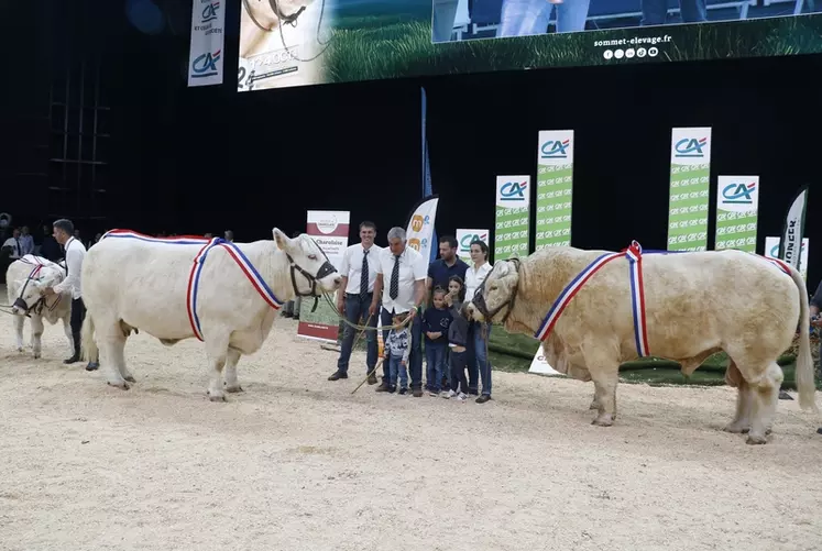concours charolais Sommet de l'élevage 2024