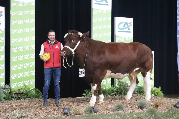 Sommet de l’élevage 2024 : retrouvez les champions de la race rouge des prés en photos et le palmarès du concours