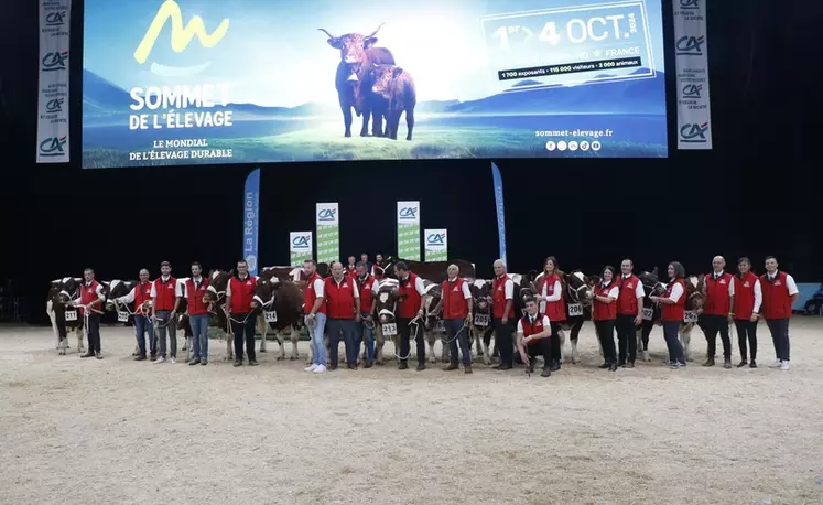 Concours rouge des Prés Sommet de l'élevage 2024