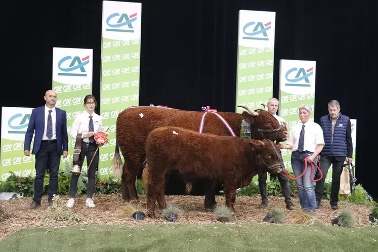 Sommet de l’Élevage 2024 : le fleuron de la race salers en concours national au zénith d’Auvergne
