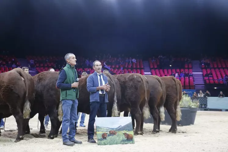 vente aux enchères vaches salers label rouge sommet de l'élevage 2024