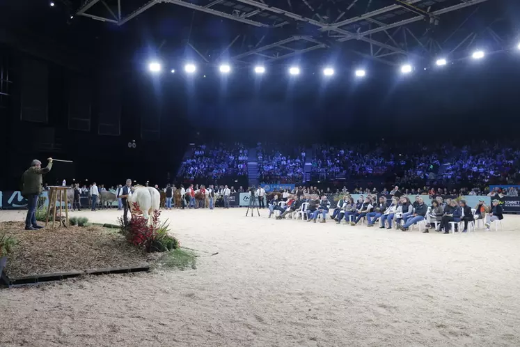 vente races de france sommet de l'élevage 2024