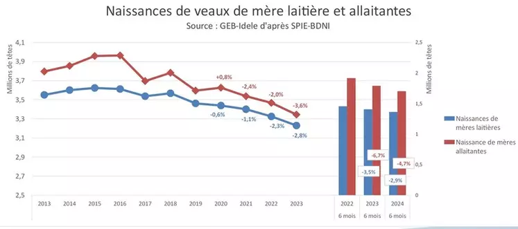 Décapitalisation : la France a perdu près d’un million de vaches en sept ans