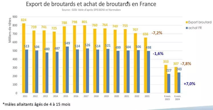 Décapitalisation : la France a perdu près d’un million de vaches en sept ans