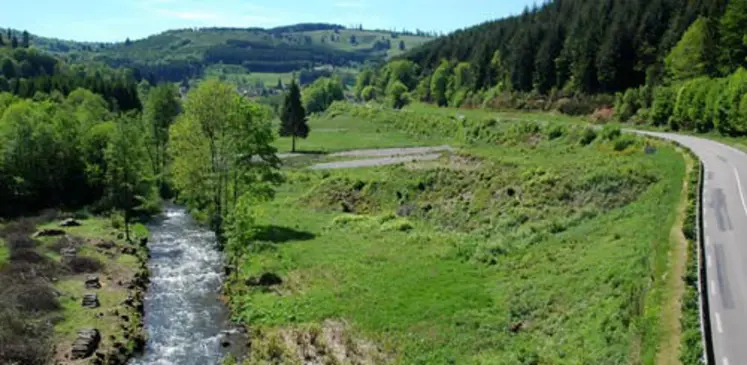<em class="placeholder">L’AFP Entre les eaux (Bas-Rhin), en 2002. La réhabilitation des communaux par le pâturage et les pratiques pastorales a généré une augmentation considérable des ...</em>
