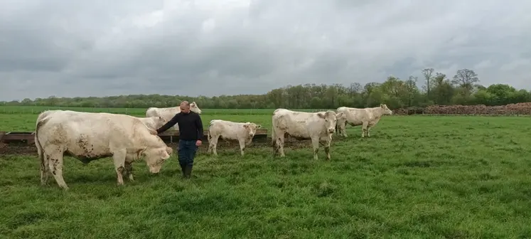 <em class="placeholder">Maxime Couillard, situé à Jauzé dans la Sarthe, 169 ha de SAU, 55 vêlages en race charolaise, 1 600 m² de volailles de chair</em>