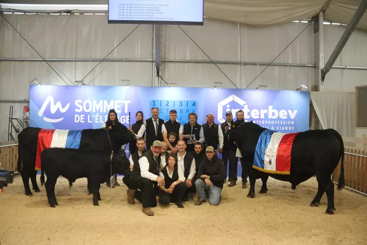 Eleveurs et les champions mâle et femelle du concours angus au sommet de l'élevage 2024