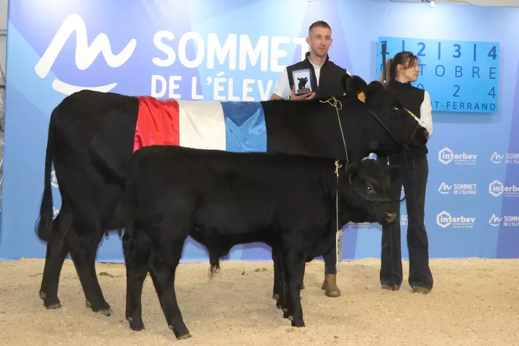 la vache Pakita, de la Ferme du Trèfle (Ain), remporte le prix de section femelle au concours angus du sommet de l'élevage 2024