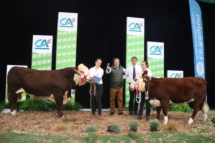 le taureau Apollon, du Gaec Mont au Bec (Seine-Maritime) et la génisse Union, de la SCEA Ferme de la Picardie (Seine-Maritime) sont les champions du concours de la race Hereford au Sommet de l'élevage 2024