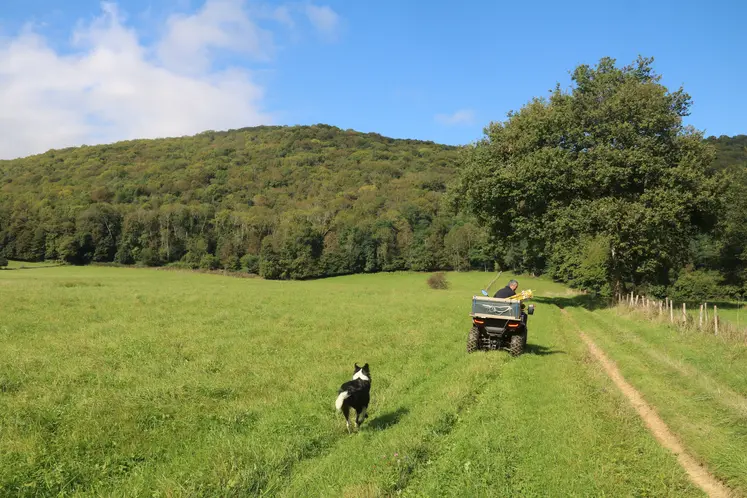 L'éleveur pose les clôtures mobiles depuis son quad dans une prairie naturelle, en Haute-Garonne