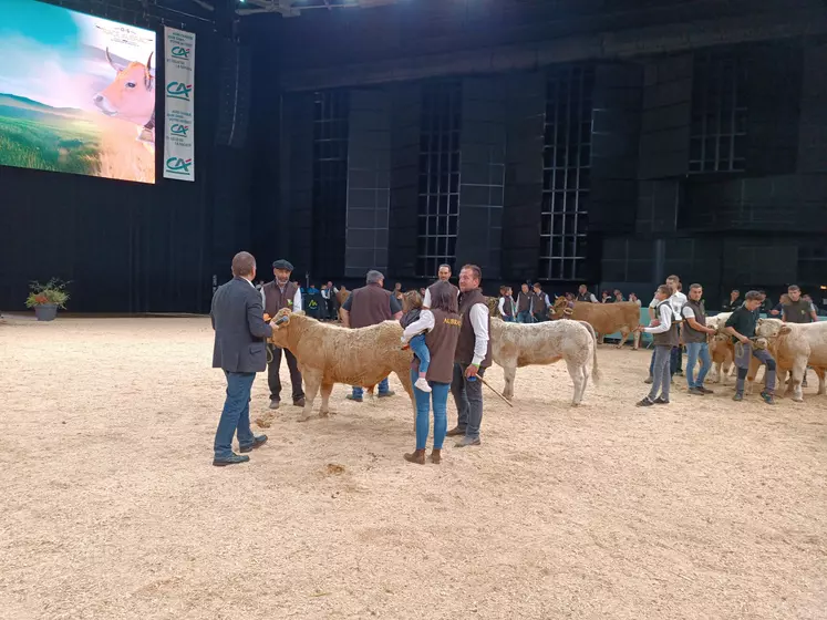 sommet concours aubrac