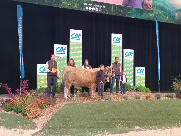 sommet de l'élevage concours aubrac