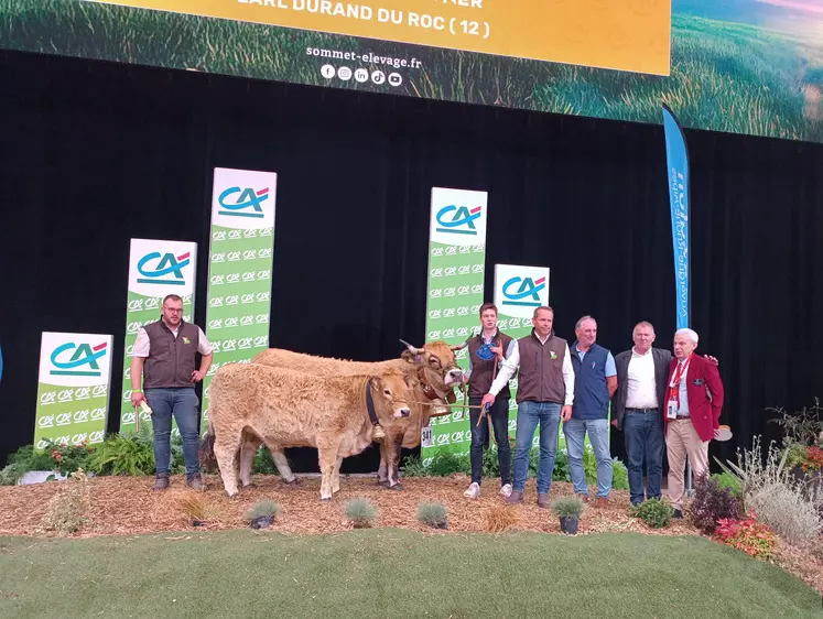 sommet de l'élevage concours aubrac
