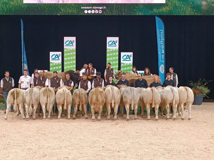 concours aubrac sommet de l'elevage