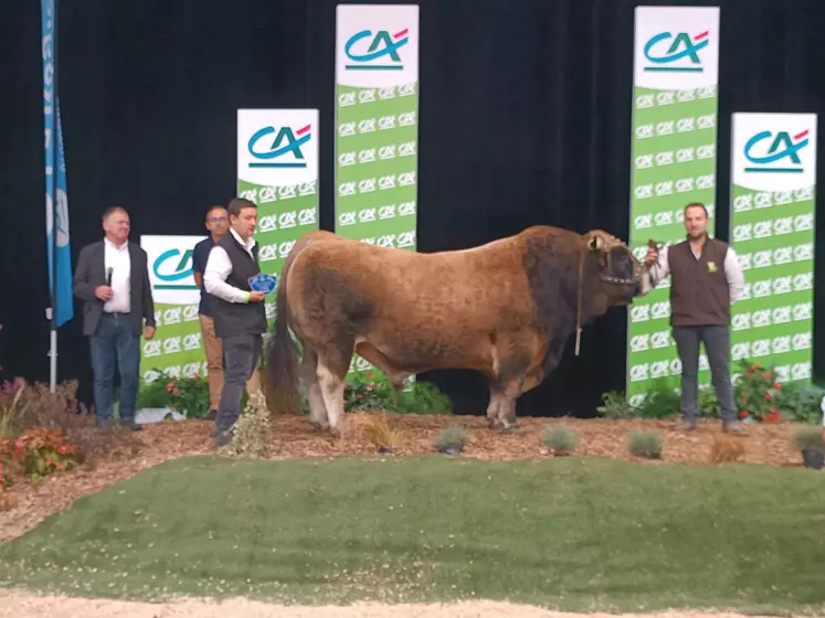 sommet de l'élevage concours aubrac