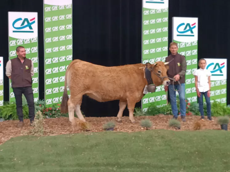 concours aubrac sommet de l'elevage