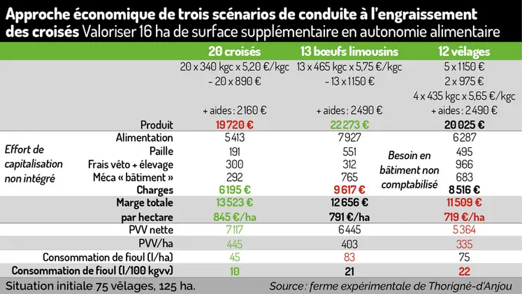 <em class="placeholder">Tableau - Approche économique de trois scénarios de conduite à l’engraissement des croisés Valoriser 16 ha de surface supplémentaire en autonomie alimentaire</em>