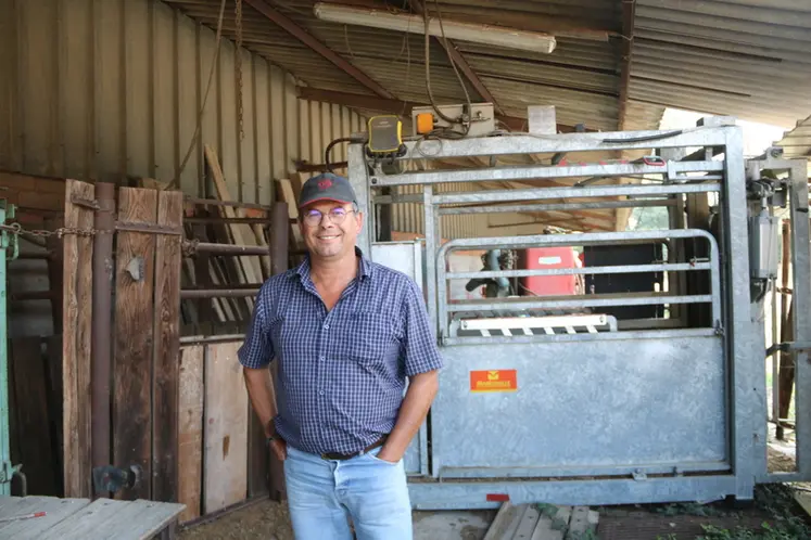 <em class="placeholder">Xavier Ferrand, engraisseur de jeunes bovins dans l&#039;Allier, a créé son mélange d&#039;huiles essentielles pour renforcer les défenses immunitaires des taurillons en atelier ...</em>