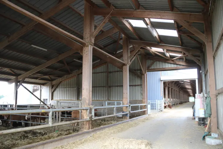 <em class="placeholder">La quarantaine des broutards se déroule dans un bâtiment en prolongement du bâtiment bovins principal pour l&#039;engraissement des taurillons de Terres de Crecoli, dans la ...</em>