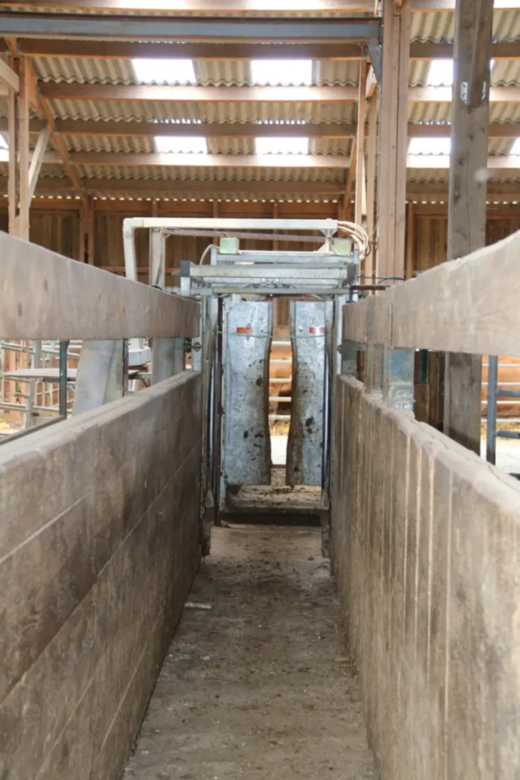 <em class="placeholder">Couloir de contention et cage de contention pour bovins</em>