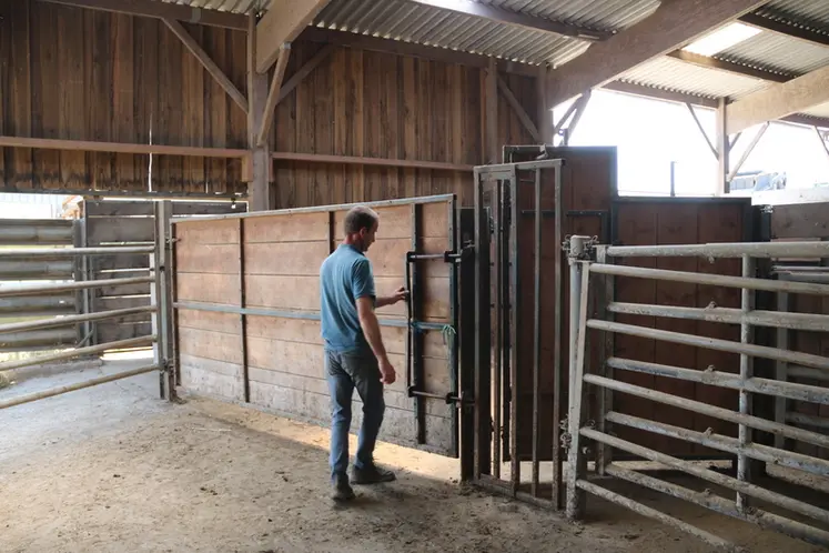 <em class="placeholder">Eleveur dans le camembert de sa contention constuite à l&#039;intérieur du bâtiment d&#039;élevage</em>