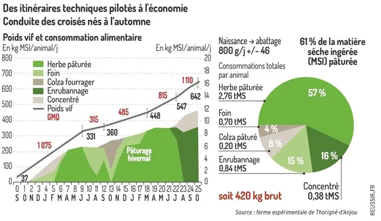 <em class="placeholder">Graphique - Des itinéraires techniques pilotés à l’économieConduite des croisés nés à l&#039;automne</em>