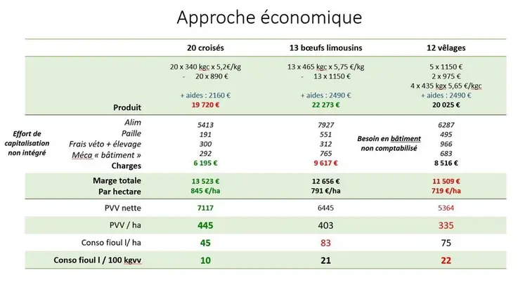 <em class="placeholder">Approche économique de trois scénarios différents pour valoriser 16 ha de surface supplémentaire en autonomie alimentaire (situation initiale 75 vêlages, 125 ha).</em>