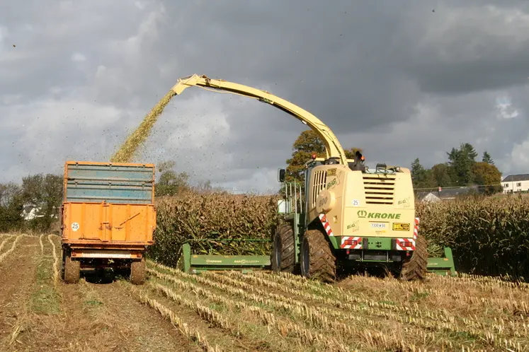 <em class="placeholder">Chantier d&#039;ensilage de maÃ¯s dans la Manche / ensileuse Krone BigX 800 bec 12 rangs / RÃ©colte du mais avant la pluie / ciel sombre chargÃ© de nuages  / I M G _ 9 6 1 6</em>