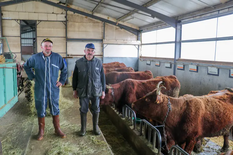 <em class="placeholder">Eleveurs de vaches salers dans le Cantal</em>